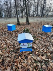 Abeilles et environnement